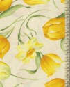 Tulipány a narcisy