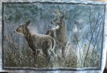 Winter Whispers 
